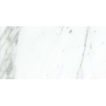 MARBLE - 12X24, CALACATA ORO CALACATA ORO, POLISHED